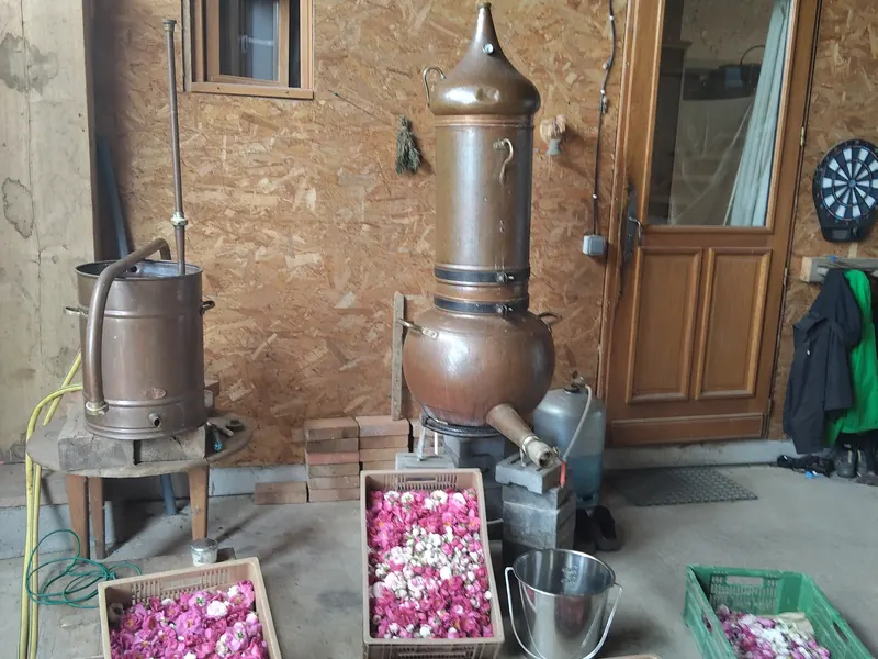 Alambic en cuivre de la ferme, avec des caisses de roses