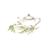 Théière et plantes