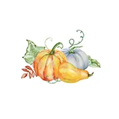 Courges
